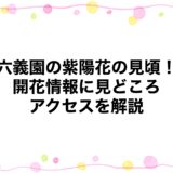 六義園の紫陽花の見頃2026！開花情報に見どころ・アクセスを解説