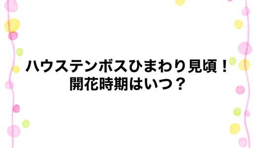 ハウステンボスのひまわり見頃2026！開花時期はいつ？
